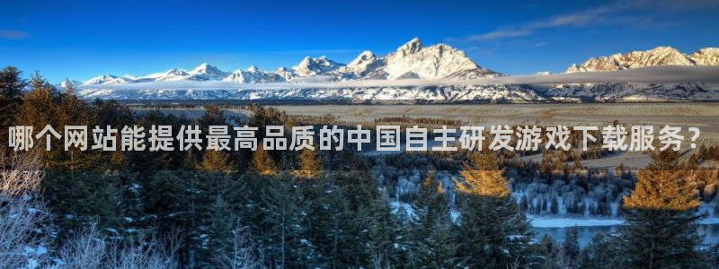 奇亿娱乐集团