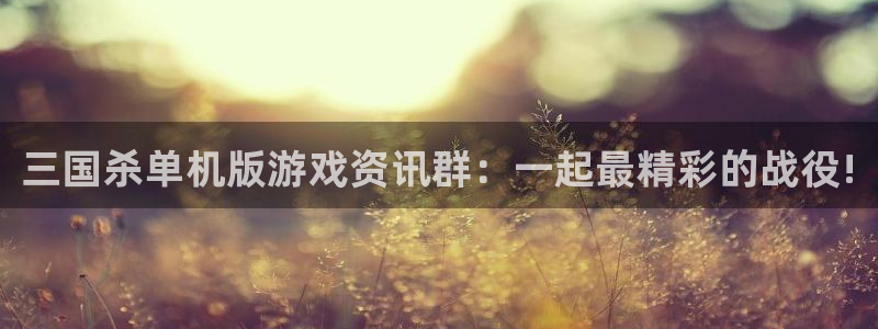 奇亿娱乐注册平台：三国杀单机版游戏资讯群：一起最精彩的战役!