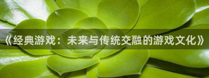 奇亿娱乐平台负责人：《经典游戏：未来与传统交融的游戏文化》