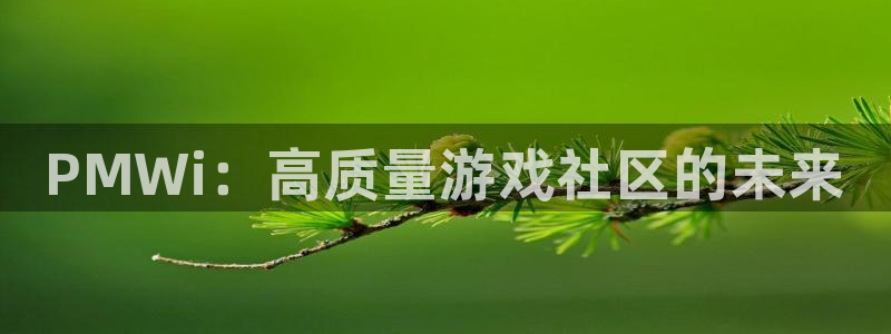 奇亿娱乐平台官网客服电话：PMWi：高质量游戏社区的未来