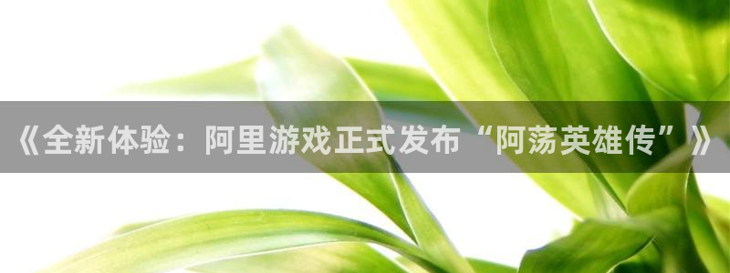 奇亿娱乐注册登录平台：《全新体验：阿里游戏正式发布“阿荡英雄