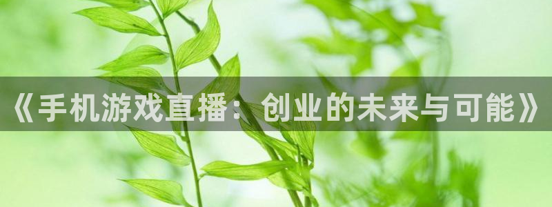 奇亿娱乐代理登陆：《手机游戏直播：创业的未来与可能》