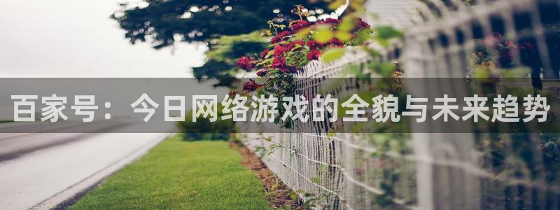 奇亿娱乐下载链接：百家号：今日网络游戏的全貌与未来趋势