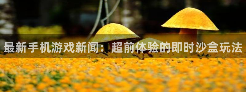 奇亿娱乐登陆测速：最新手机游戏新闻：超前体验的即时沙盒玩法