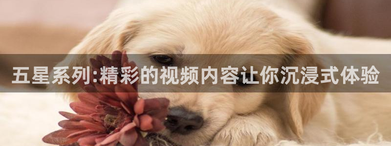 蓝鲸体育足球免费观看：五星系列:精彩的视频内容让你沉浸式体验