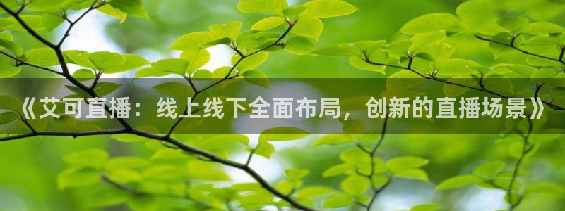 蓝鲸体育直播手机版：《艾可直播：线上线下全面布局，创新的直播场景》