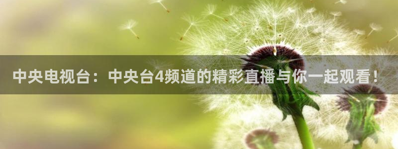 蓝鲸直播男同：中央电视台：中央台4频道的精彩直播与你一起观看！