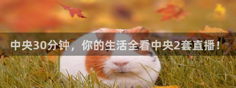 蓝鲸直播体育在线观看：中央30分钟，你的生活全看中央2套直播！
