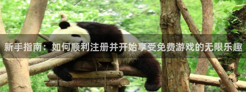奇亿娱乐4主管：新手指南：如何顺利注册并开始享受免费游戏的无